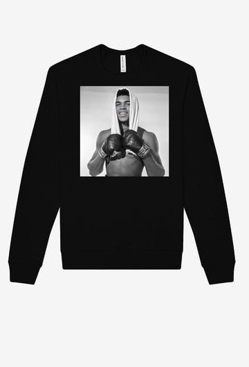 ALI / COMPREHENDING
